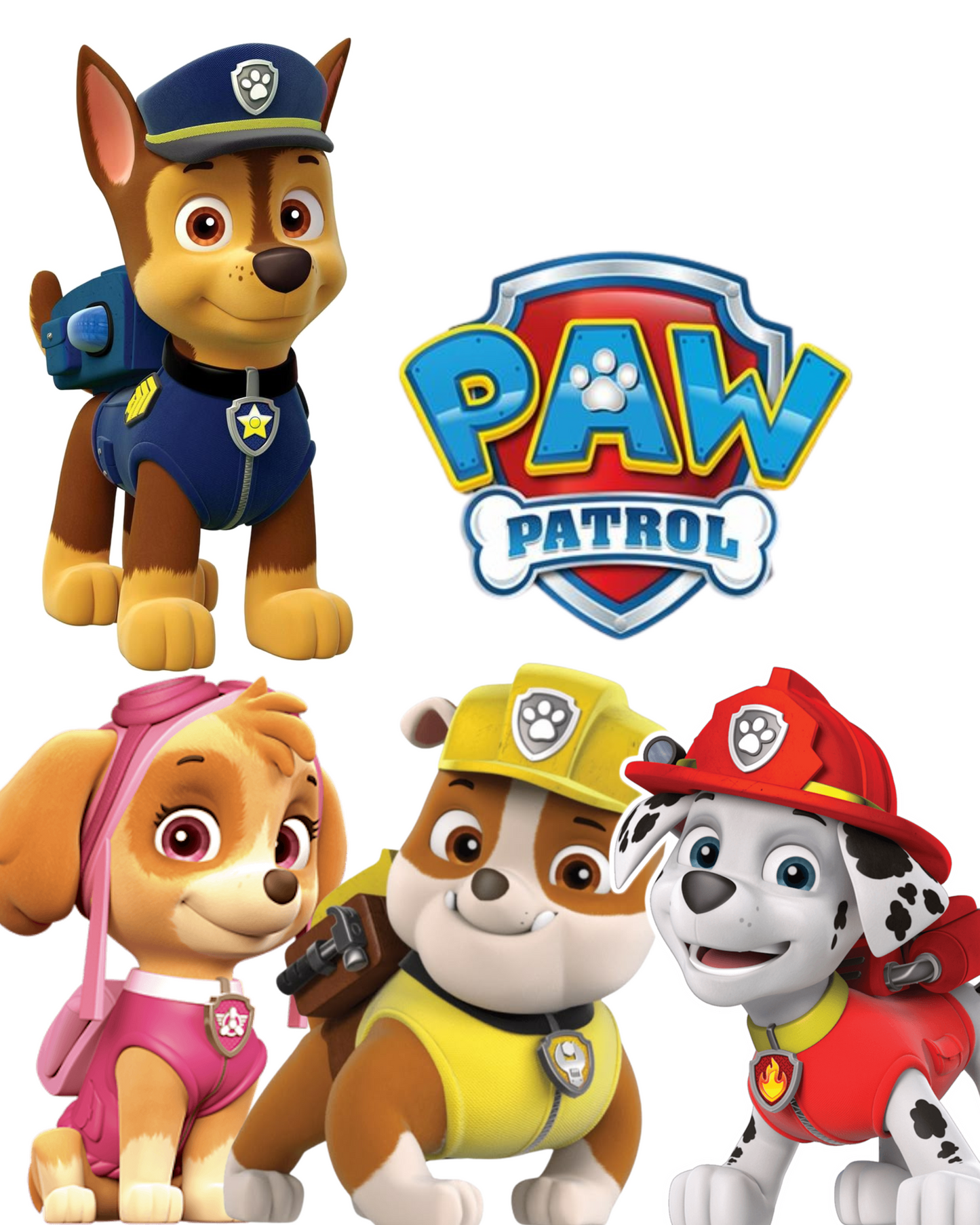 Paw Patrol Feestthema