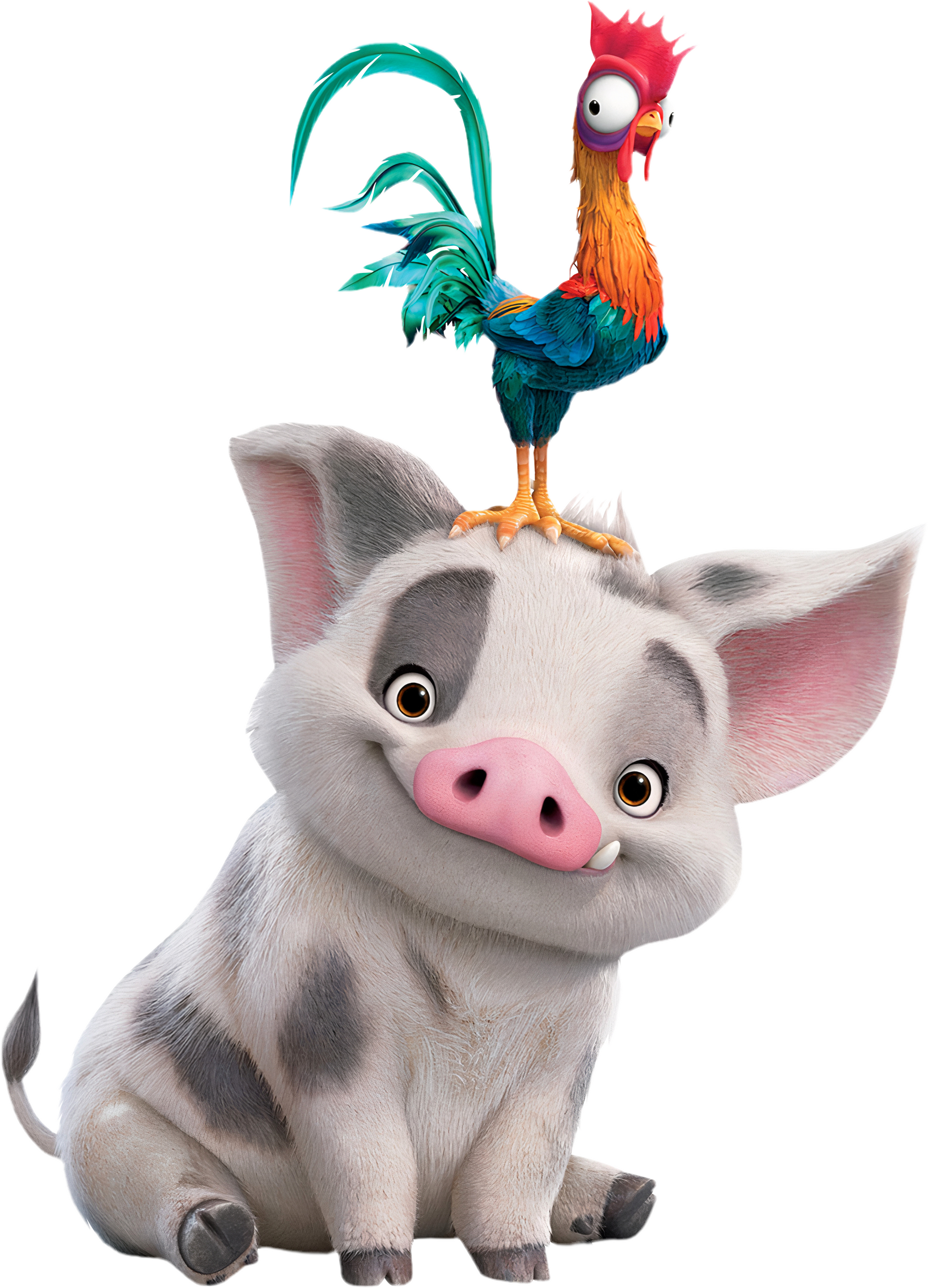 Pua & Hei Hei  cutout voor verjaardagsfeest